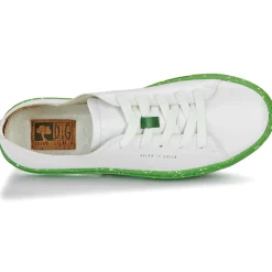 Dream in Green - JOBI