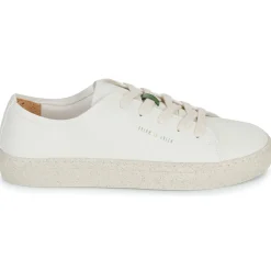 Dream in Green - JOBI