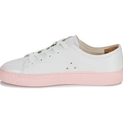 Dream in Green - JOBI