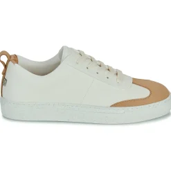 Dream in Green - JOBIA