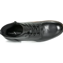 Dream in Green - LAMPEDI