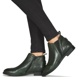 Dream in Green - LIMIDISE