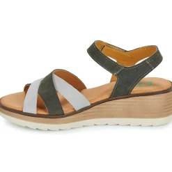 Dream in Green - LISA