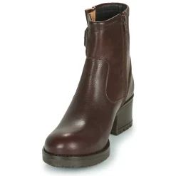 Dream in Green - NETISE