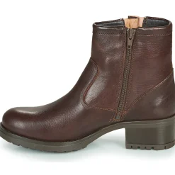 Dream in Green - NETISE