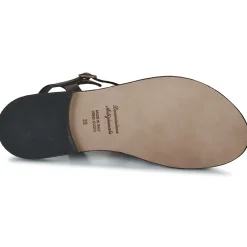 Dream in Green - OBALINE