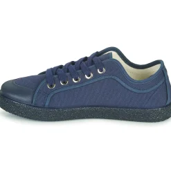 Dream in Green - OBRINDILLE