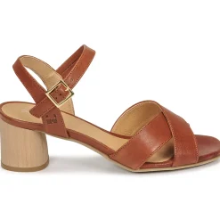 Dream in Green - ODAINE