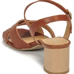 Dream in Green - ODAINE