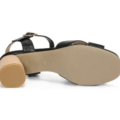 Dream in Green - ODAINE