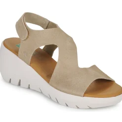 Dream in Green - OLENE