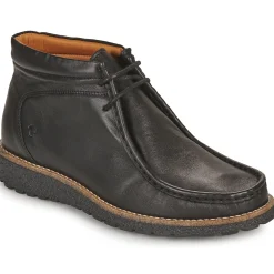 Dream in Green - OPHINA