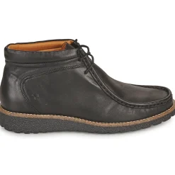 Dream in Green - OPHINA