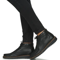 Dream in Green - OPHINA