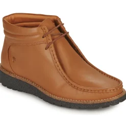 Dream in Green - OPHINA