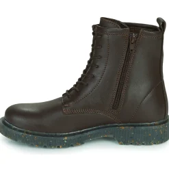 Dream in Green - PARBOL