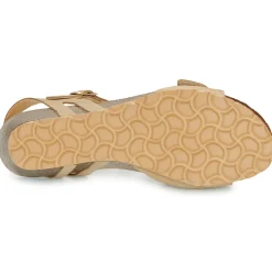 Dream in Green - PHILEAS