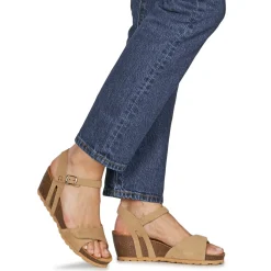 Dream in Green - PHILEAS