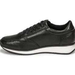 Dream in Green - PORTOVECCHIO