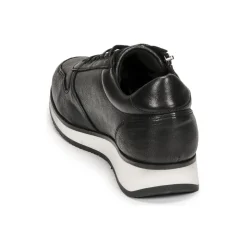 Dream in Green - PORTOVECCHIO