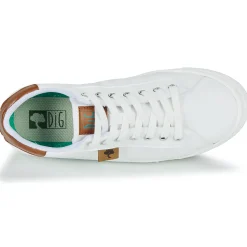 Dream in Green - SORPHIE