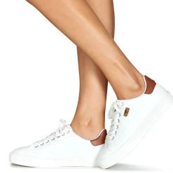 Dream in Green - SORPHIE