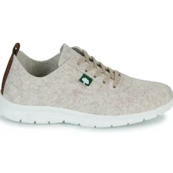 Dream in Green - SOTISE