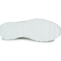 Dream in Green - SOTISE