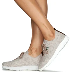 Dream in Green - SOTISE