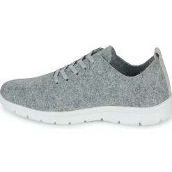 Dream in Green - SOTISE