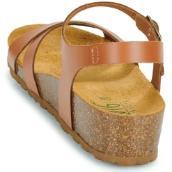 Dream in Green - TSILI