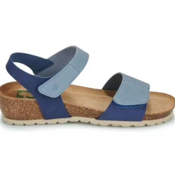 Dream in Green - ZAMINI