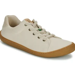 Dream in Green - ZAPHIRI