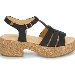 El Naturalista - ARBEQUINA