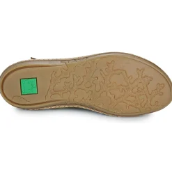 El Naturalista - CORAL 5349