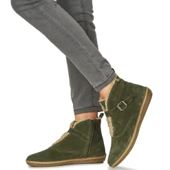 El Naturalista - CORAL 5349