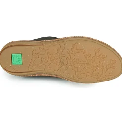 El Naturalista - CORAL N5310