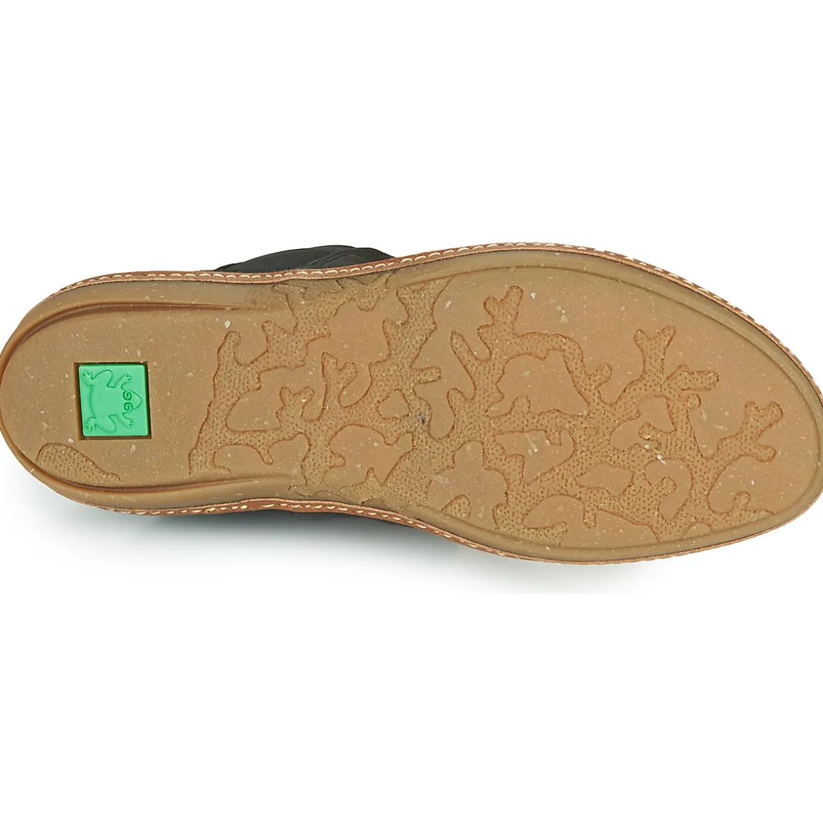 El Naturalista - CORAL N5310