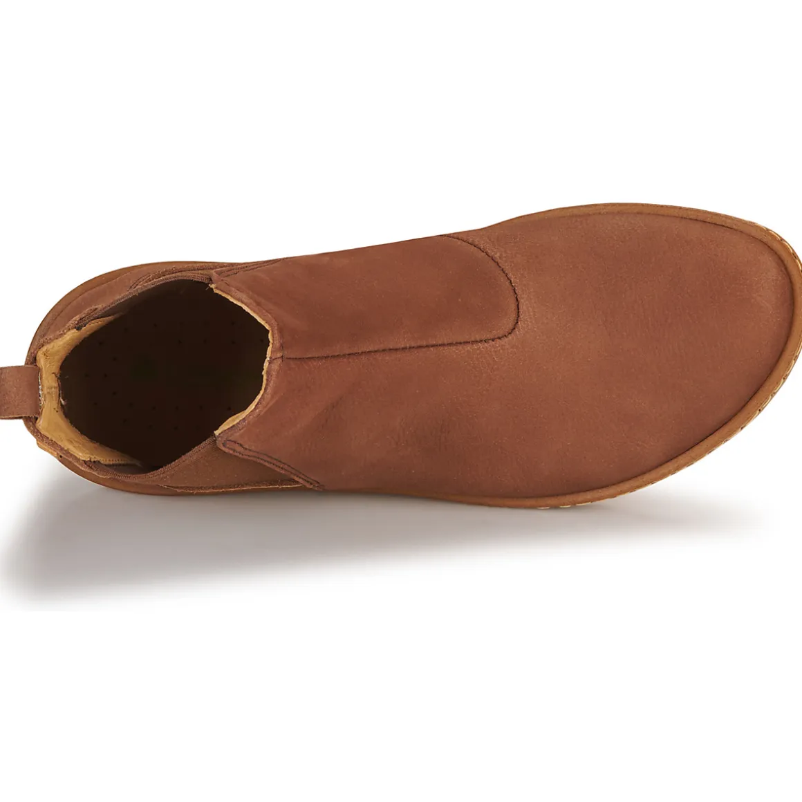 El Naturalista - CORAL N5310