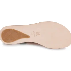 El Naturalista - CORATINA N5710