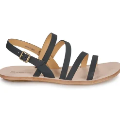 El Naturalista - CORATINA N5711