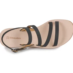 El Naturalista - CORATINA N5711