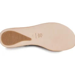 El Naturalista - CORATINA N5711