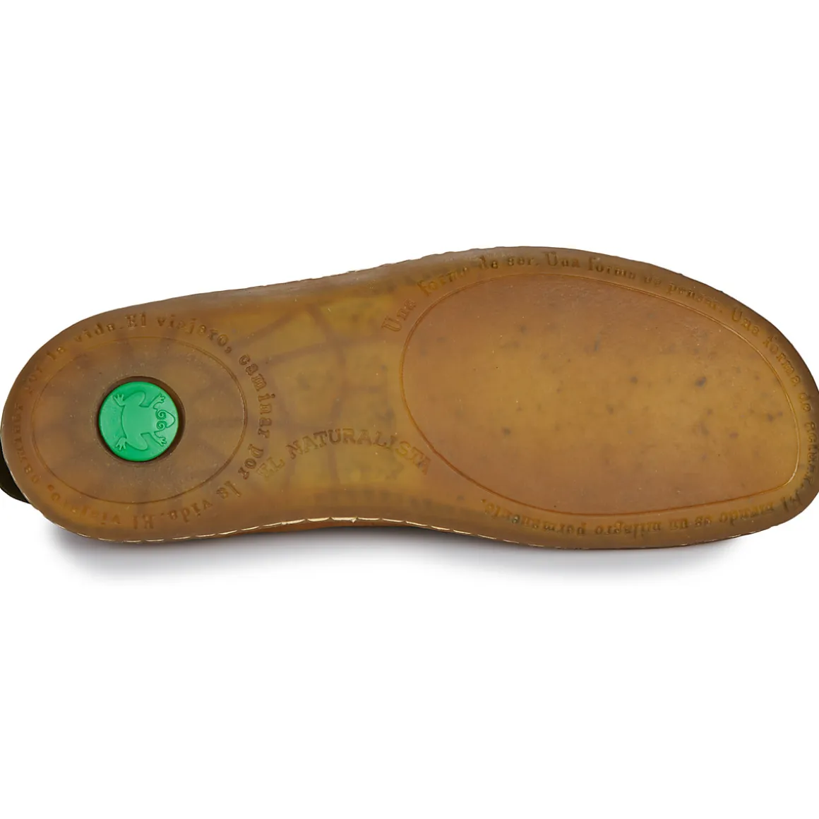 El Naturalista - EL VIAJERO FLIDSU