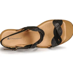 El Naturalista - FANTASY