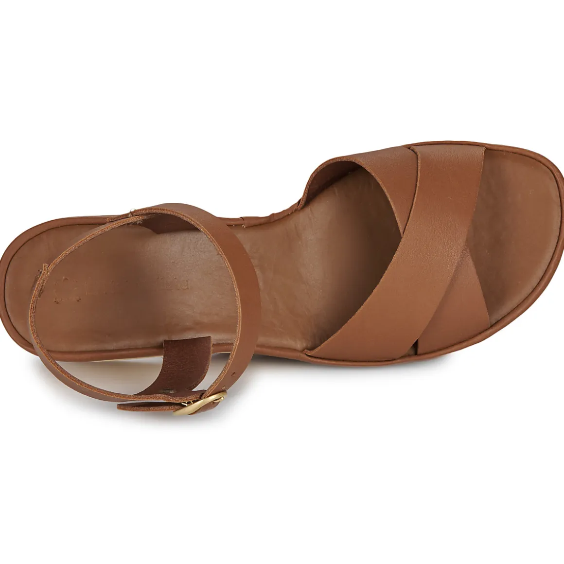 El Naturalista - GAIA N854