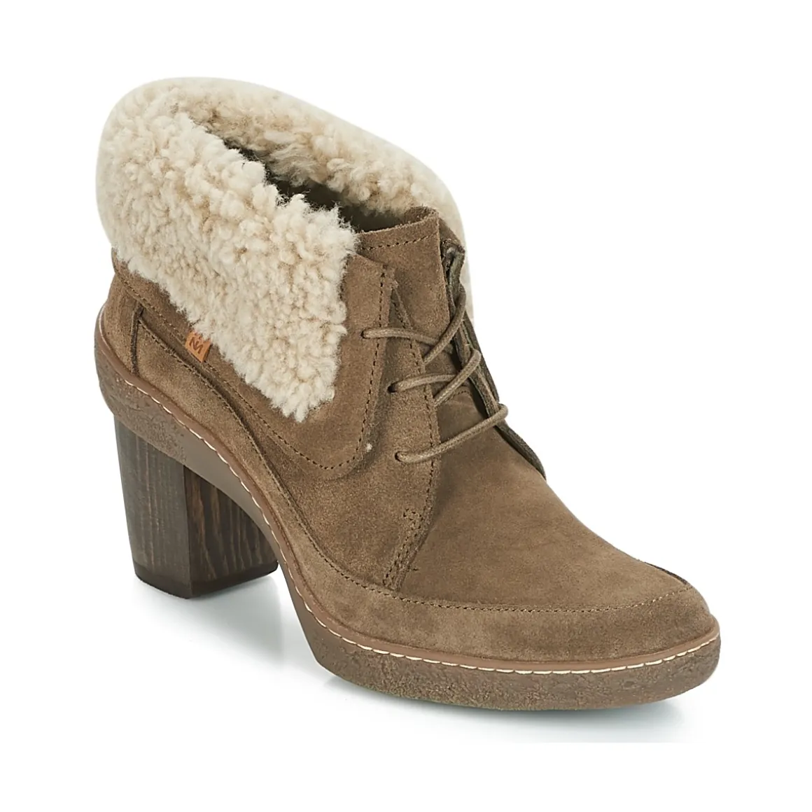 El Naturalista - LICHEN