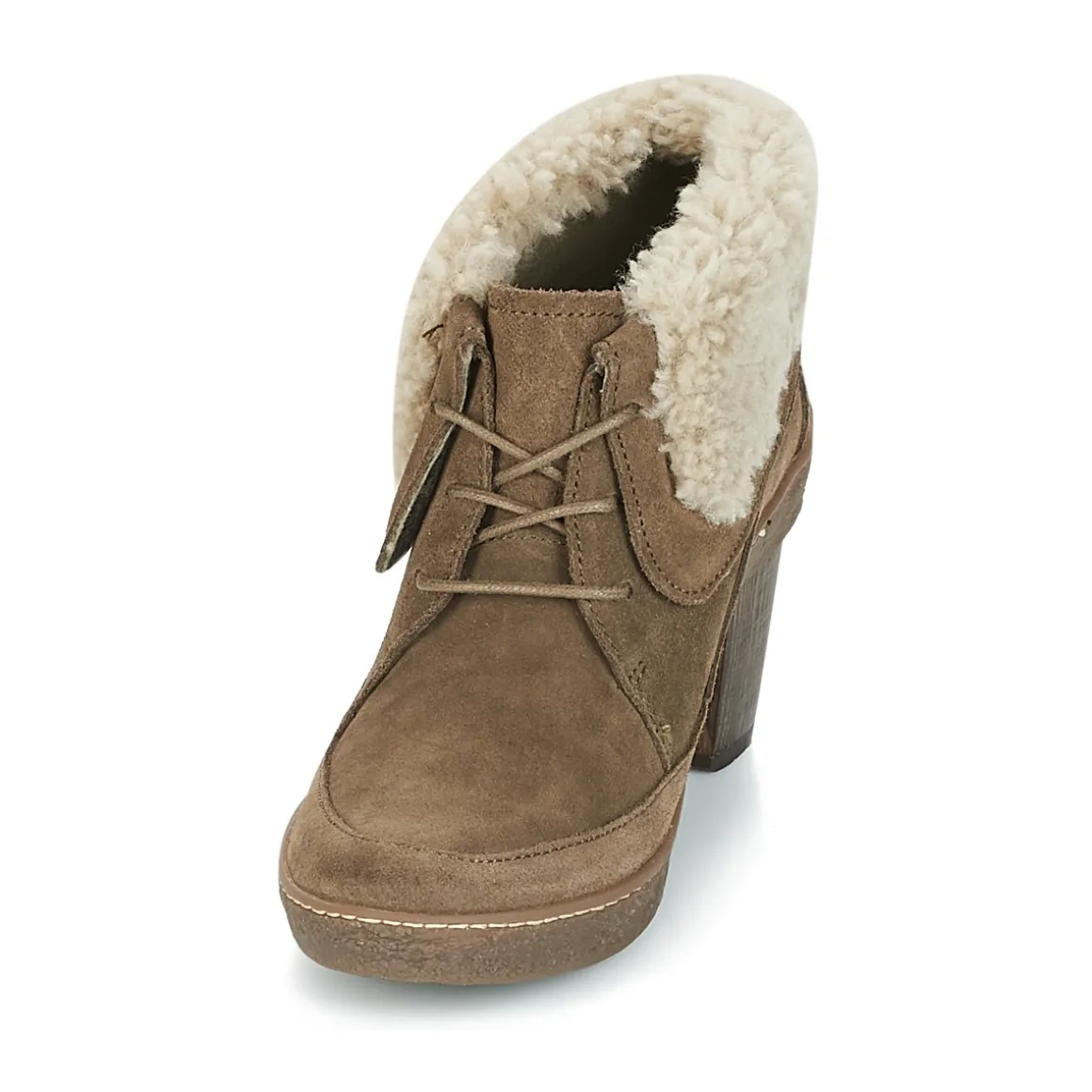 El Naturalista - LICHEN