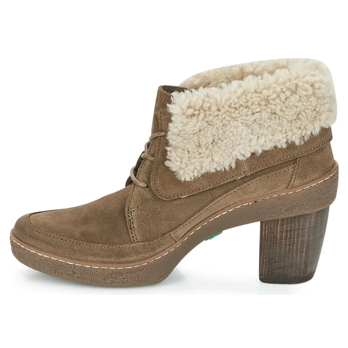 El Naturalista - LICHEN