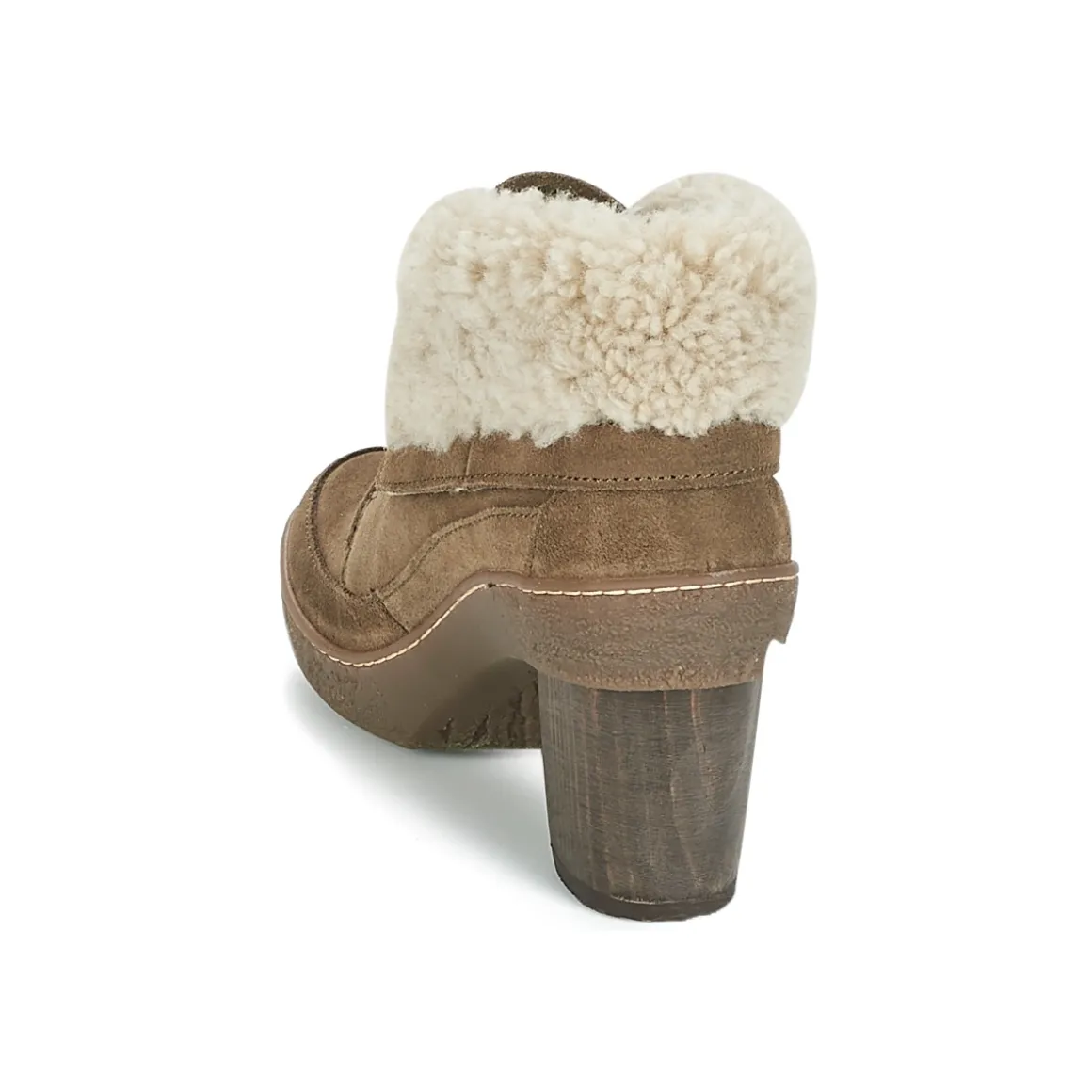 El Naturalista - LICHEN